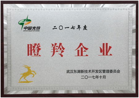 热烈祝贺鑫英泰再次被评定为“中国光谷瞪羚企业”